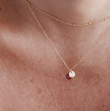 Birthstone Drop Necklace • January