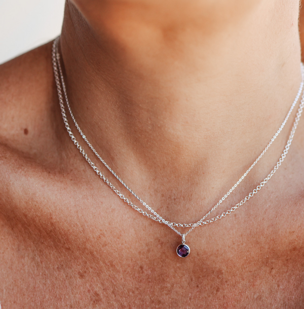 Birthstone Drop Necklace • February